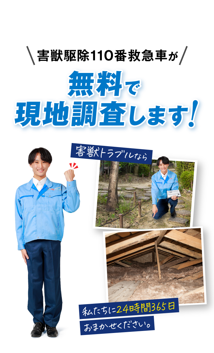 害獣駆除110番救急車が無料で現地調査します