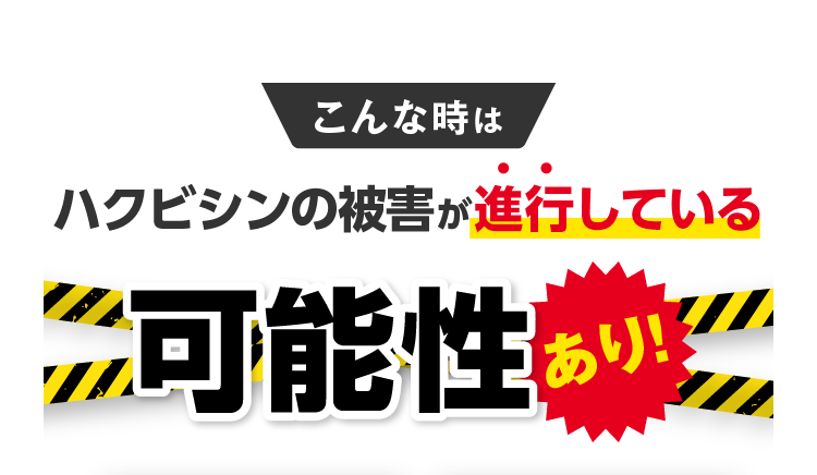 こんな時はハクビシンの被害が進行している可能性あり！