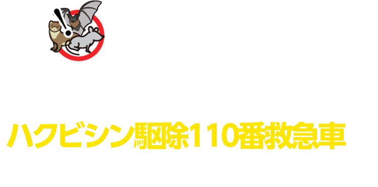 ハクビシンを見つけたら、まずはハクビシン駆除110番救急車にご依頼ください！