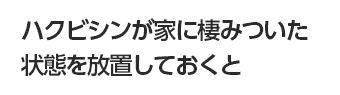 ハクビシンが家に棲みついた状態を放置しておくと