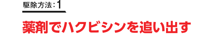 駆除方法：1 薬剤でハクビシンを追い出す