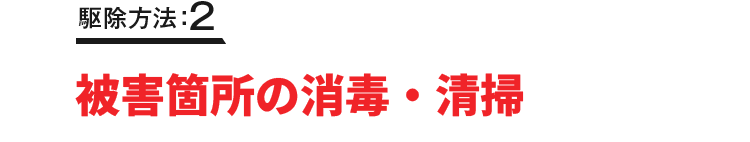 駆除方法：2 木栓処理