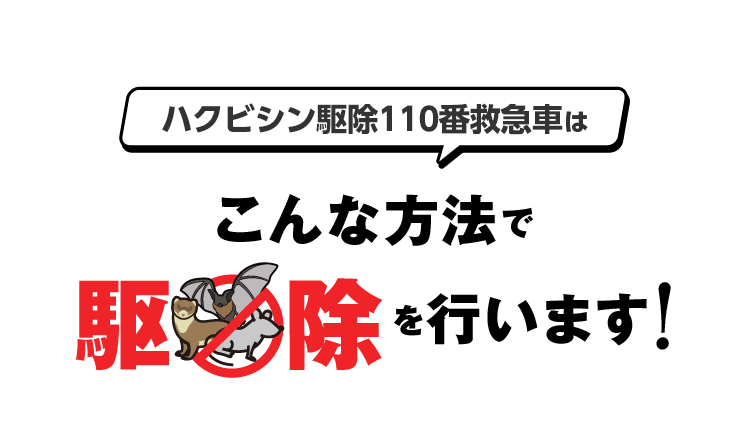 ハクビシン駆除110番救急車はこんな方法で駆除を行います！