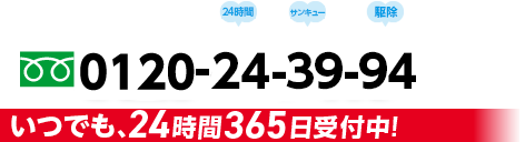 0120243994