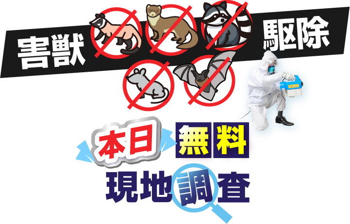 害獣駆除 本日 無料現地調査