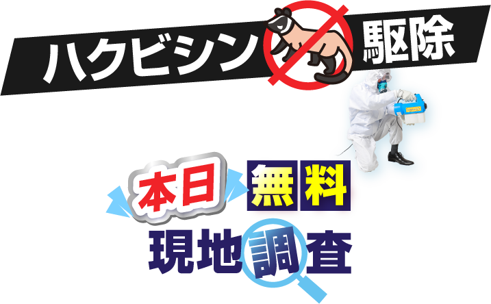 ハクビシン駆除 本日 無料現地調査