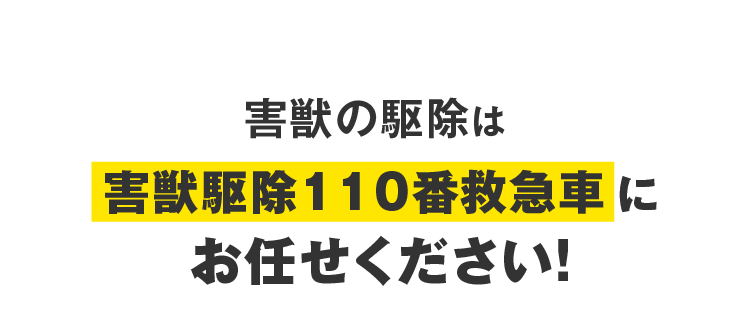 害獣の駆除は害獣駆除110番救急車にお任せください！
