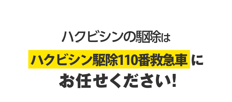 ハクビシンの駆除はハクビシン駆除110番救急車にお任せください！